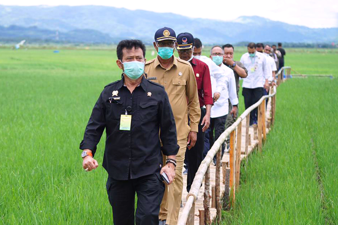Kementan Syahrul Yasin Limpo