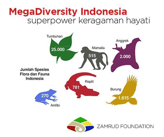 Megadiversity Indonesia